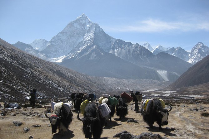 Everest Three (High) Passes Trekking - Gokyo Ri and Renjo La Add Extra Work