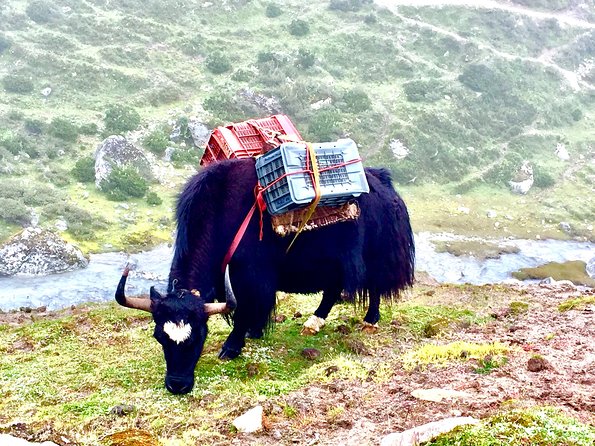 Everest View Trek - 7 Days - Day 3: The long climb from Phakding to Namche Bazaar