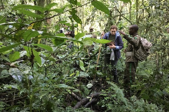 Experience Chimpanzee Trekking in Budongo Forest - The full-day habituation upgrade