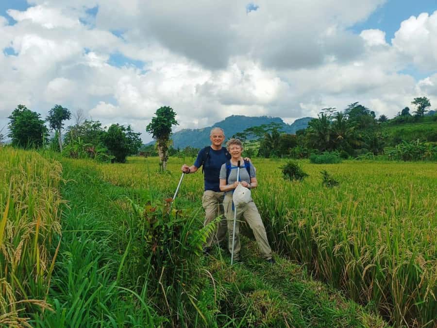 Explore rice terraces munduk & waterfall trekking experience - What makes this Munduk outing worth your time