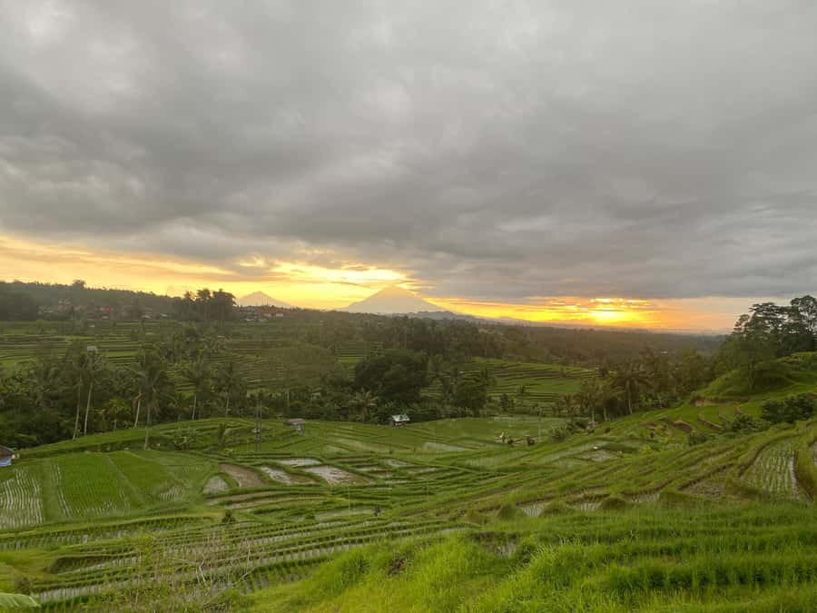 Explore rice terraces munduk & waterfall trekking experience - Buyan and Tamblingan Lakes and other scenic stops