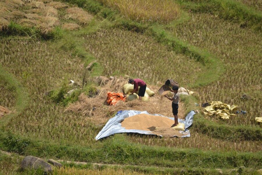 Explore Sa Pa with Overnight Train & Sleeper Bus & Trekking - Key points before you book