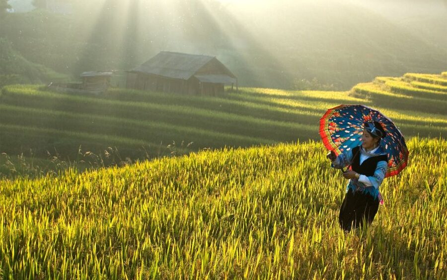 Explore Sa Pa with Overnight Train & Sleeper Bus & Trekking - Lao Cai arrival and the morning at Ma Tra and Ta Phin