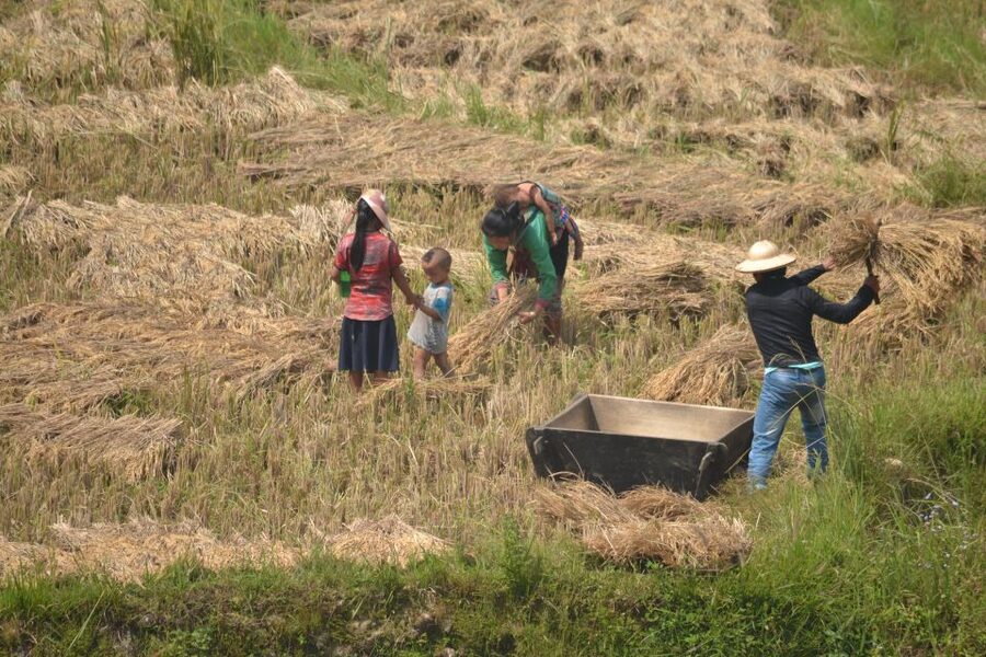 Explore Sa Pa with Overnight Train & Sleeper Bus & Trekking - A free morning in Sa Pa, with Fansipan as an option