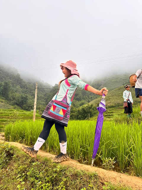 Explore Sapa by TrekkingAdventures, Mountain,Rice fields - Is $23 a good value?