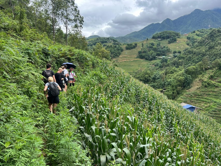 Explore Sapa by TrekkingAdventures, Mountain,Rice fields - Starting below Sapa’s fog