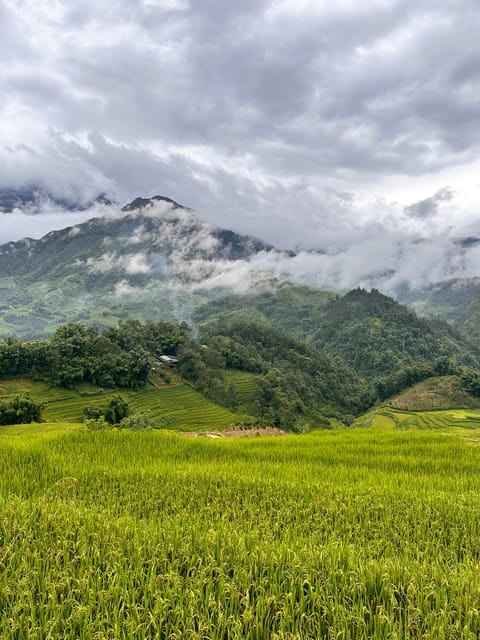Explore Sapa by TrekkingAdventures, Mountain,Rice fields - Lao Chai, lunch, and the largest village stop