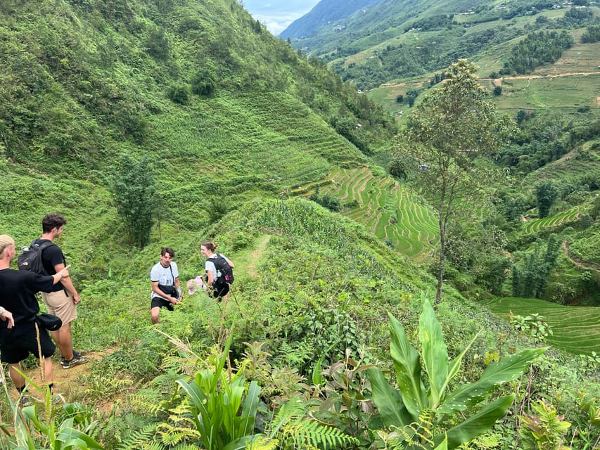 Explore Sapa by TrekkingAdventures, Mountain,Rice fields - Choosing easy, hard, or somewhere between