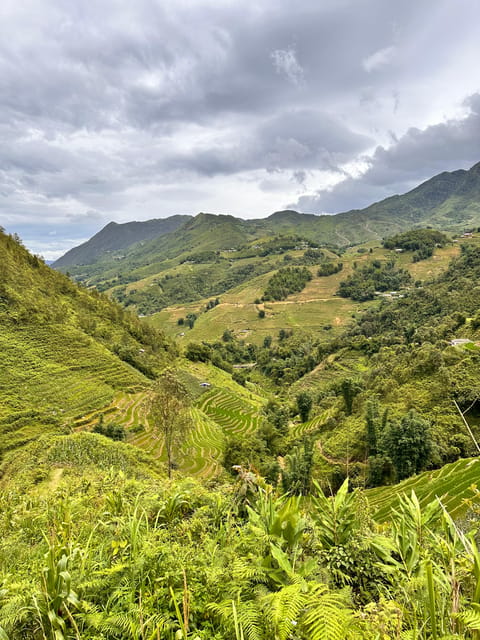 Explore Sapa by TrekkingAdventures, Mountain,Rice fields - How the weather changes the experience