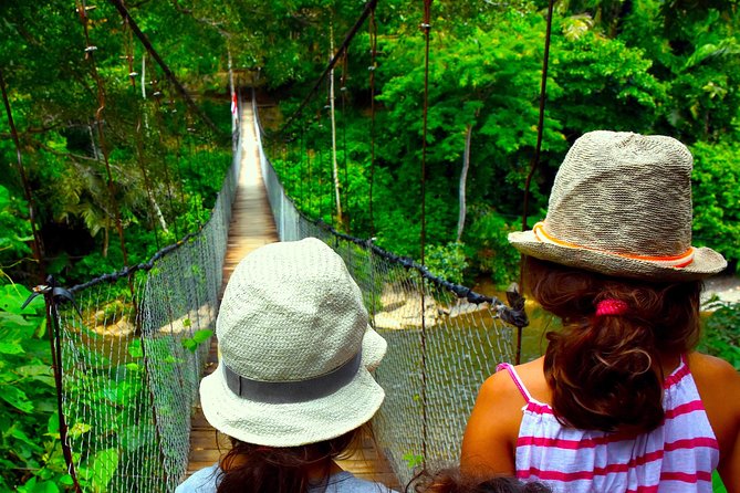 FAMILY JUNGLE TOUR: Orangutan Trek (4-hours hike) by EcoTravel Bukit Lawang - What the four-hour jungle tour is really like