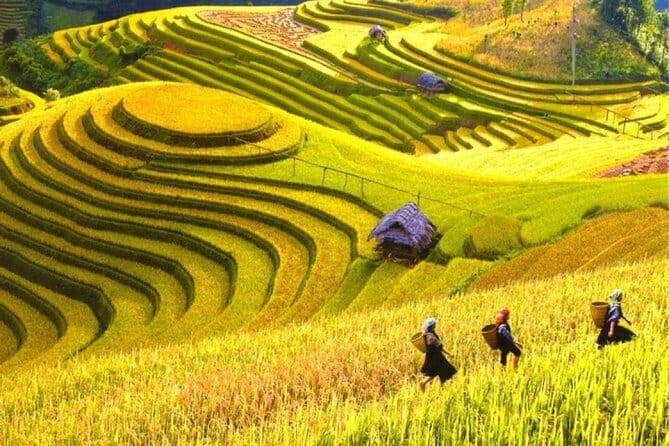 Fansipan Mountain, Cat Cat Village, Rice Terrace 2 Day Sapa Tour - Cooking class and included meals