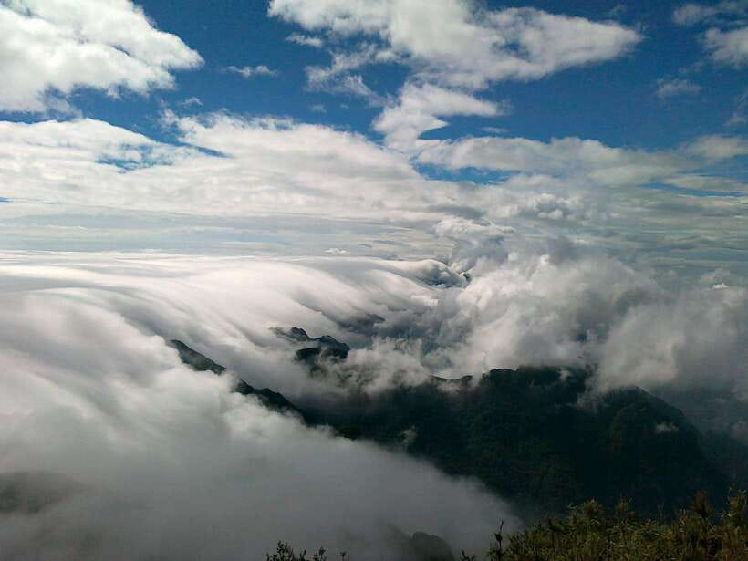 Fansipan Trekking - 1 Day - Forest trails, bamboo, and the long climb