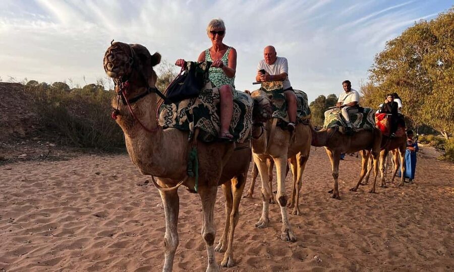 From Agadir: Camel Ride and Flamingo Trek - Key things to know before you book