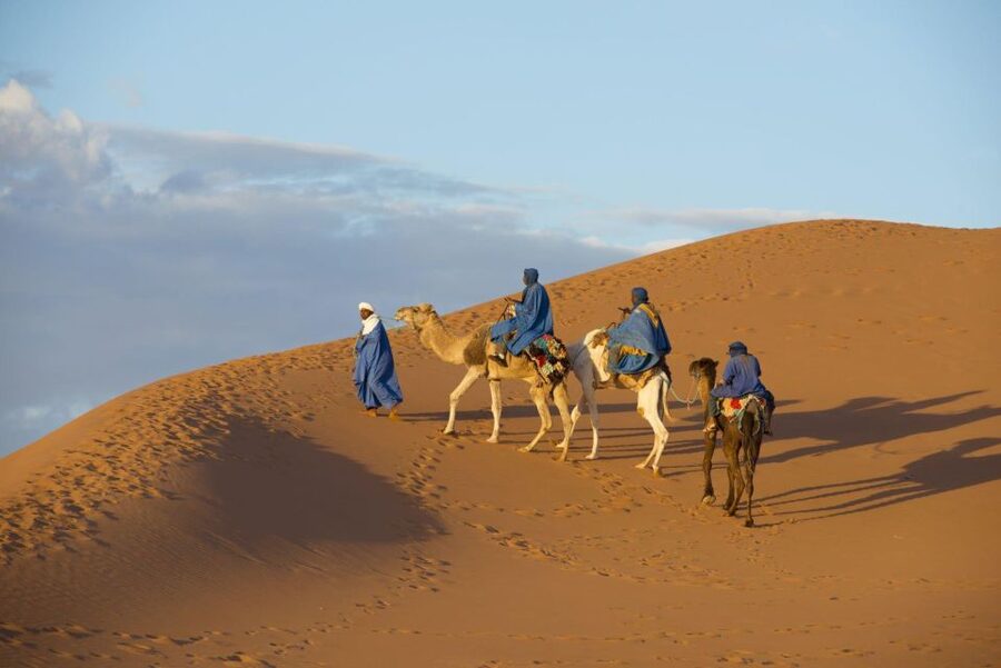 From Agadir: Camel Ride and Flamingo Trek - Practical advice for a comfortable outing