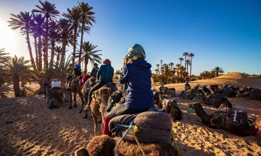 From Agadir: Camel Ride and Flamingo Trek - Views toward the dunes, ocean, and royal palace