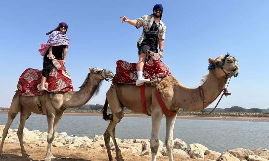 From Agadir: Camel Ride and Flamingo Trek - Is $19 good value?