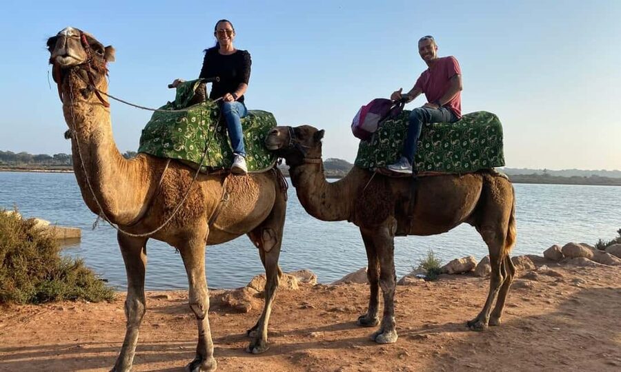 From Agadir: Camel Ride and Flamingo Trek - Who will enjoy this ride most?