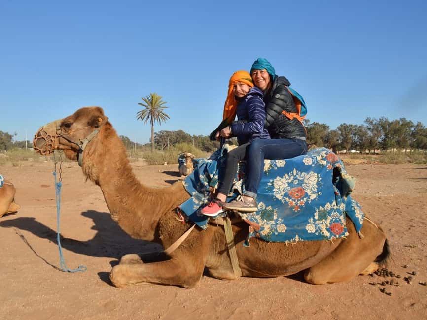 From Agadir: Camel Ride and Flamingo Trek - Meeting the camels and getting settled