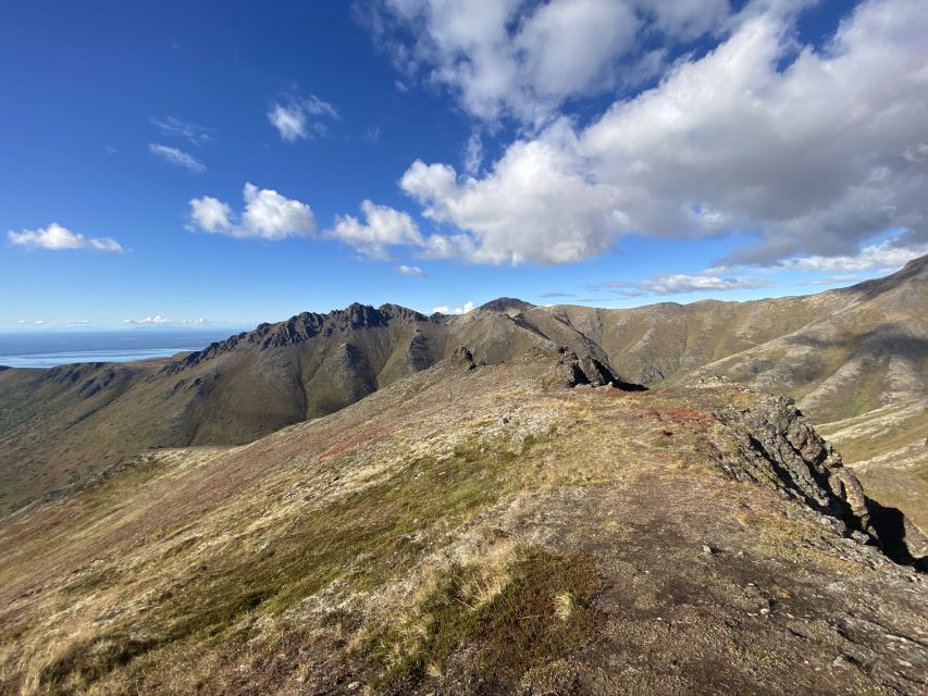 From Anchorage: Chugach State Park Guided Alpine Trek - Key points to know before booking