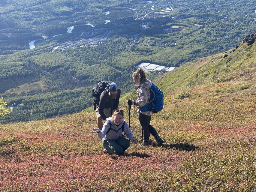 From Anchorage: Chugach State Park Guided Alpine Trek - From downtown Anchorage to the Chugach trailhead