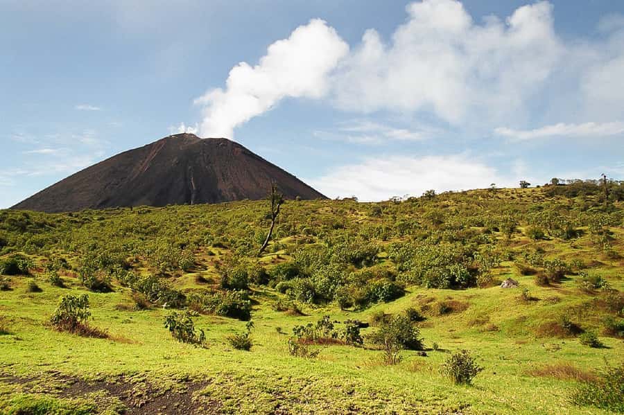 From Antigua: Pacaya Volcano Trek - The ash section is where the work begins