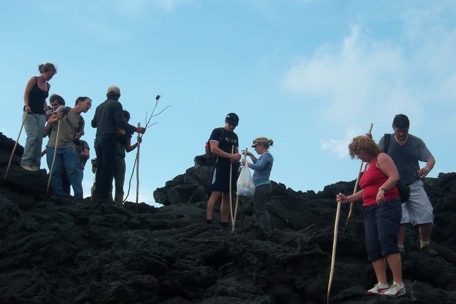 From Antigua: Pacaya Volcano Trek - The real value at $23 per person