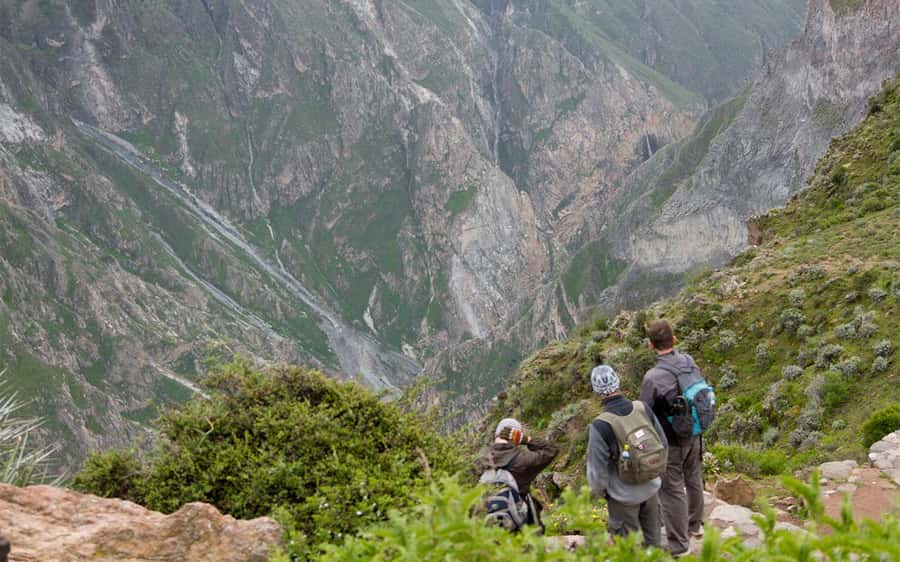 From Arequipa: 2-Day Colca Canyon Trekking Tour - Key points to know before you book