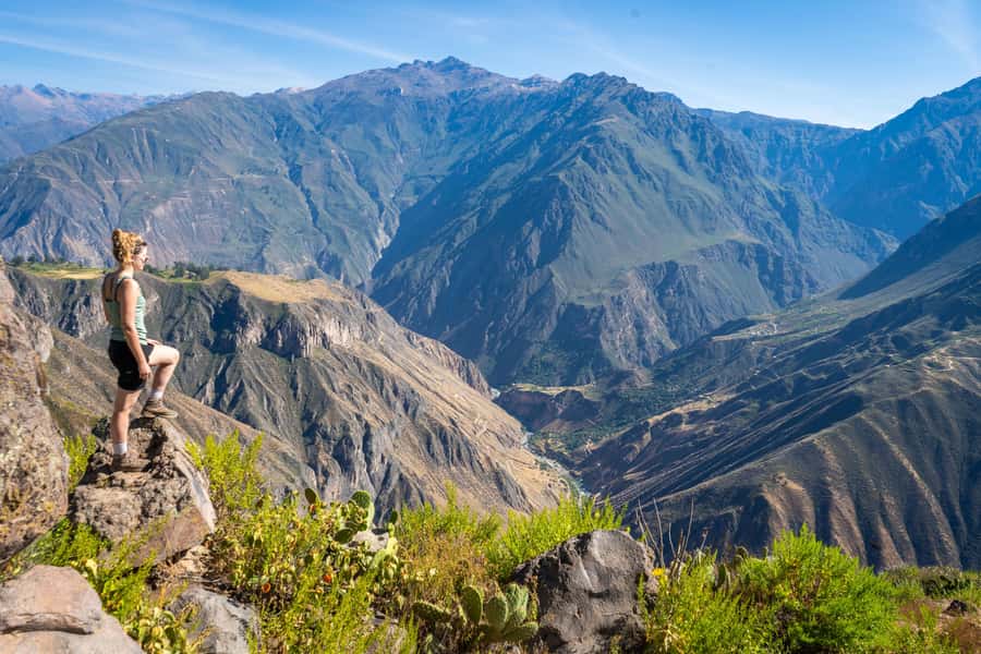 From Arequipa: 2-Day Colca Canyon Trekking Tour - What the guides add to the walk