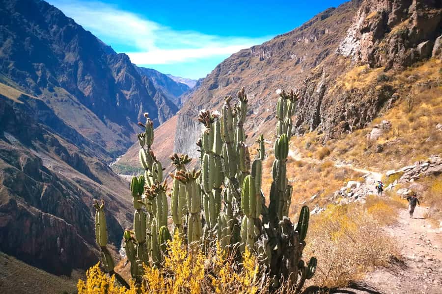 From Arequipa Trek : 2-Days of Hiking in the Colca Canyon - Key points before you book