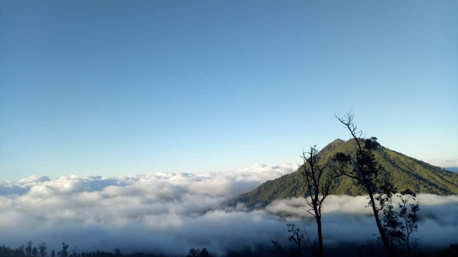 From Bali : The Majestic Mount Ijen Sunrise Trekking - The 2 a.m. hike toward the crater