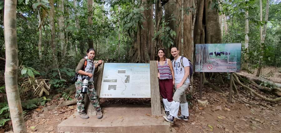 From Bangkok: Khao Yai National Park Jungle Trek with Lunch - What $181 includes, and what it means