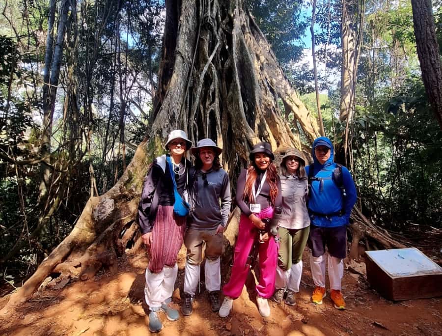 From Bangkok: Khao Yai National Park Jungle Trek with Lunch - Why Khao Yai makes a worthwhile escape from Bangkok