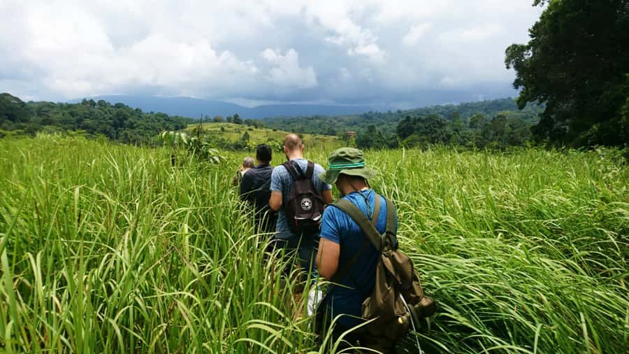 From Bangkok: Khao Yai National Park Jungle Trek with Lunch - Kilometer 30 viewpoint: a quick but useful stop