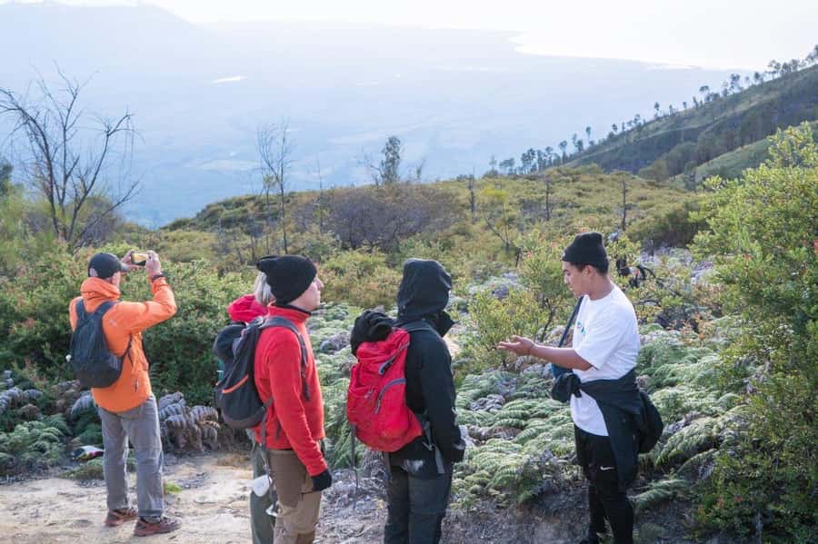 From Banyuwangi: Day Trip to Ijen Volcano with Guided Trek - The climb: steady steps, cold air, and real effort