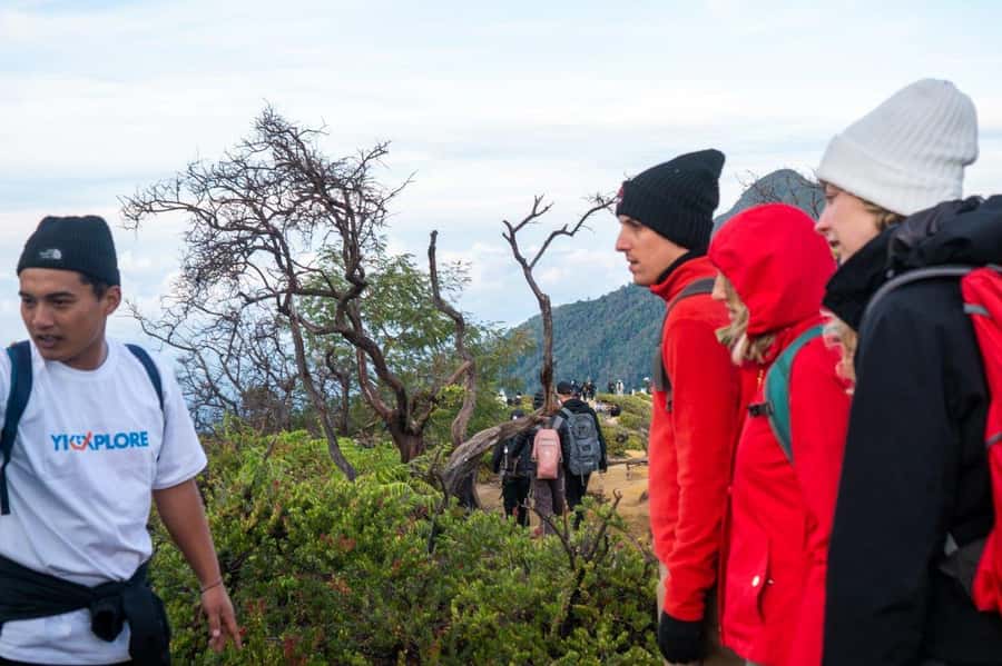 From Banyuwangi: Day Trip to Ijen Volcano with Guided Trek - The crater lake and sulfur country
