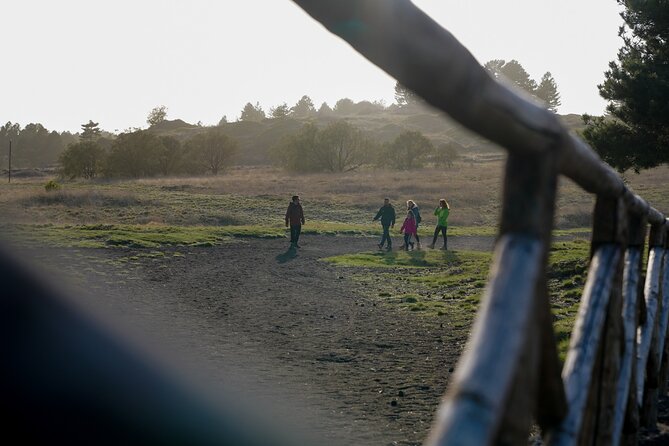 From Catania: Private mt. Etna trekking and pic-nic - Five hours across Etna’s volcanic slopes