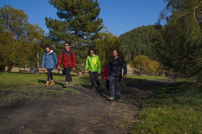 From Catania: Private mt. Etna trekking and pic-nic - Is $274.90 per person fair?