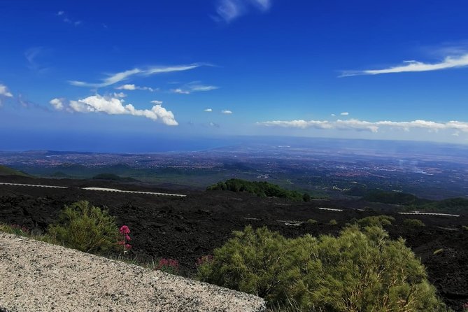 From Catania: Private mt. Etna trekking and pic-nic - Who should book this Etna trip?