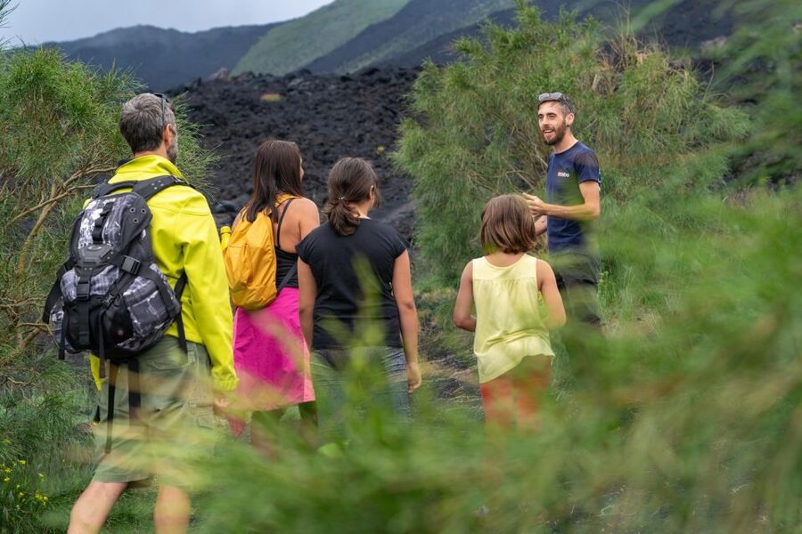 From Catania: trek on Mount Etna, Lava Cave & tasting Tour - Should you book it?