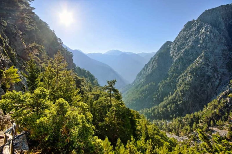 From Chania: Full-Day Samaria Gorge Trek Excursion & Guide - The ferry to Sougia and return to Chania