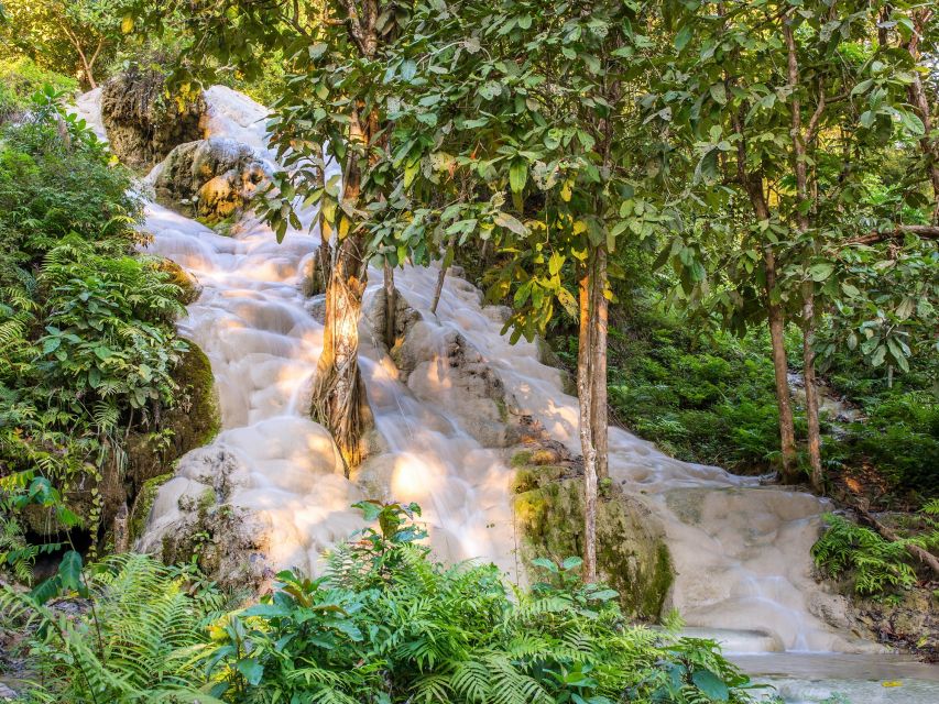 From Chiang Mai: Chiang Dao Cave Trekking Full-Day Tour - The market and a local northern Thai lunch
