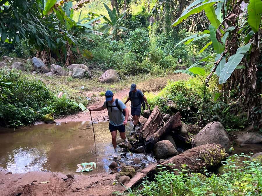 From Chiang Mai: High Mountain Day Trek - Key Points to Know Before Booking