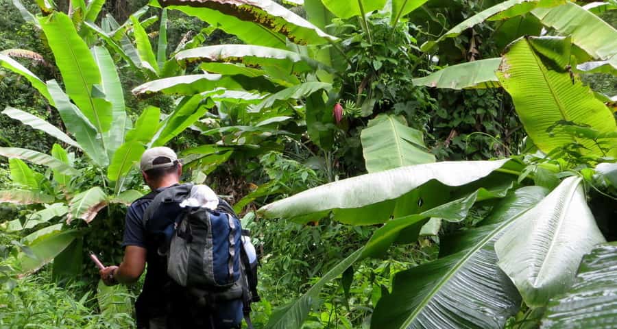 From Chiang Mai: High Mountain Day Trek - Weather, Haze, and Seasonal Conditions
