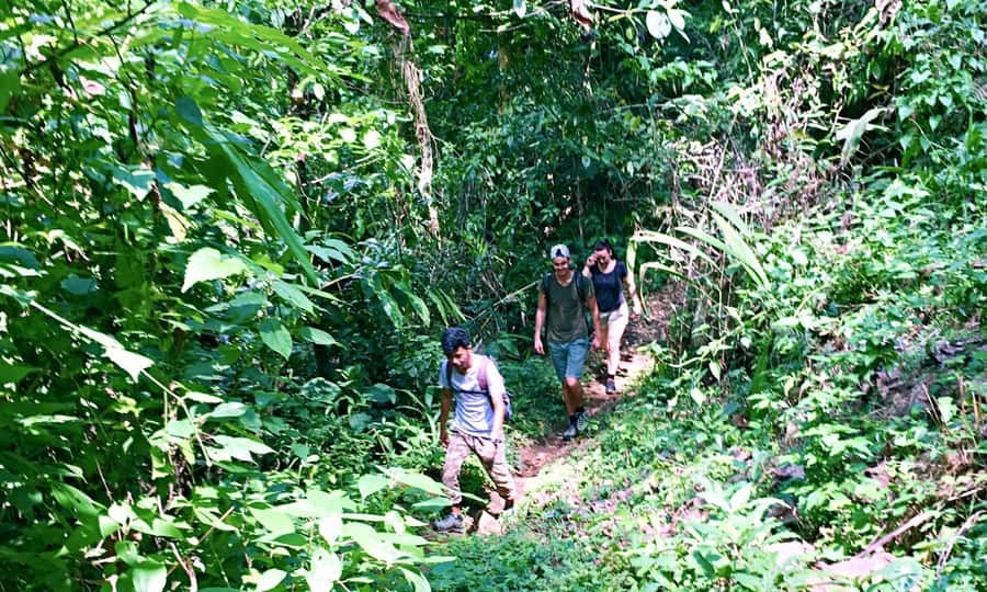 From Chiang Mai: High Mountain Day Trek - Lunch at a Mountain Lodge or Village Restaurant