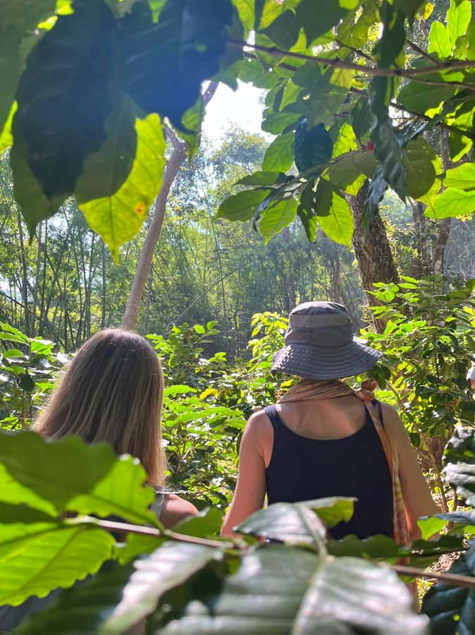 From Chiang Mai: High Mountain Day Trek - A Village Visit and a Glimpse of Lahu Life