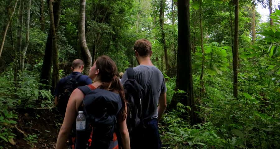 From Chiang Mai: High Mountain Day Trek - What the $73 Price Really Covers