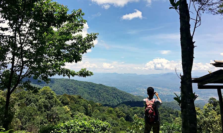 From Chiang Mai: High Mountain Day Trek - Group Size, Guides, and the Pace of the Day