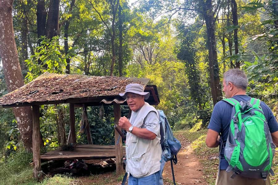 From Chiang Mai: High Mountain Day Trek - The Trail: Four Hours Through Northern Thai Forest