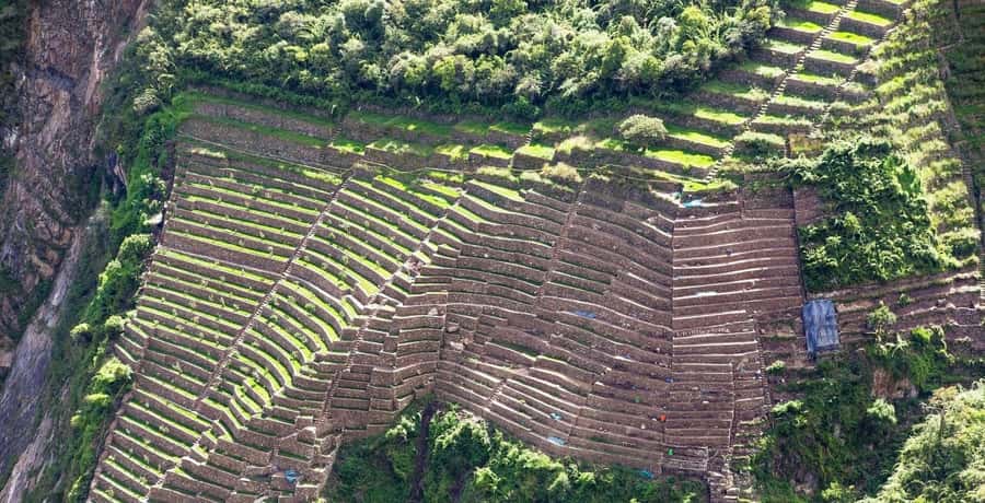 From Cusco: 4-Day Choquequirao Trek - All included - Day 1: Cusco to Cachora, Capulliyoq, and Chiquisca
