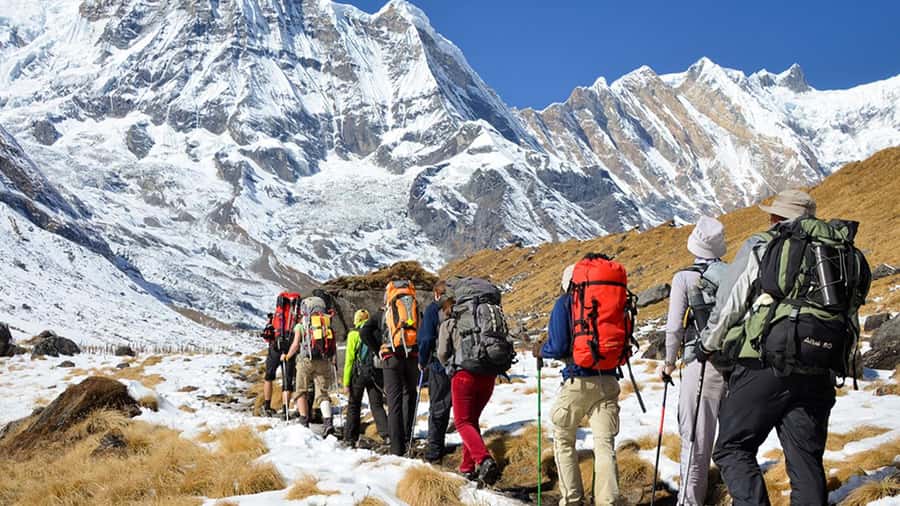 From Cusco: Salkantay trek 5 days/4 nights meals included - Day five: the early climb into Machu Picchu